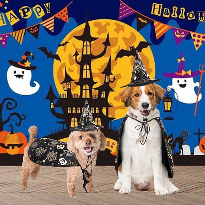 Halloween macska jelmez kisállat köpeny és sapka menő felszerelés kisállat köpeny sapka macskák cosplay ruhák ruházat Halloween