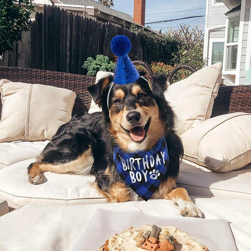 4gab Suņa dzimšanas dienas svinību piederumi, Suņa dzimšanas dienas bandana cepures tauriņa komplekts ar 0-8 figūriņām, Suņa dzimšanas dienas svinību piederumi