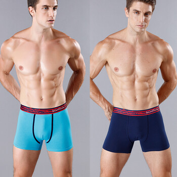 4 τμχ Βαμβακερά ανδρικά εσώρουχα Sexy Boxers For Man Trunk Υψηλής ποιότητας Ανδρικά εσώρουχα μπόξερ Οικογενειακό ανδρικό σώβρακο Calecon