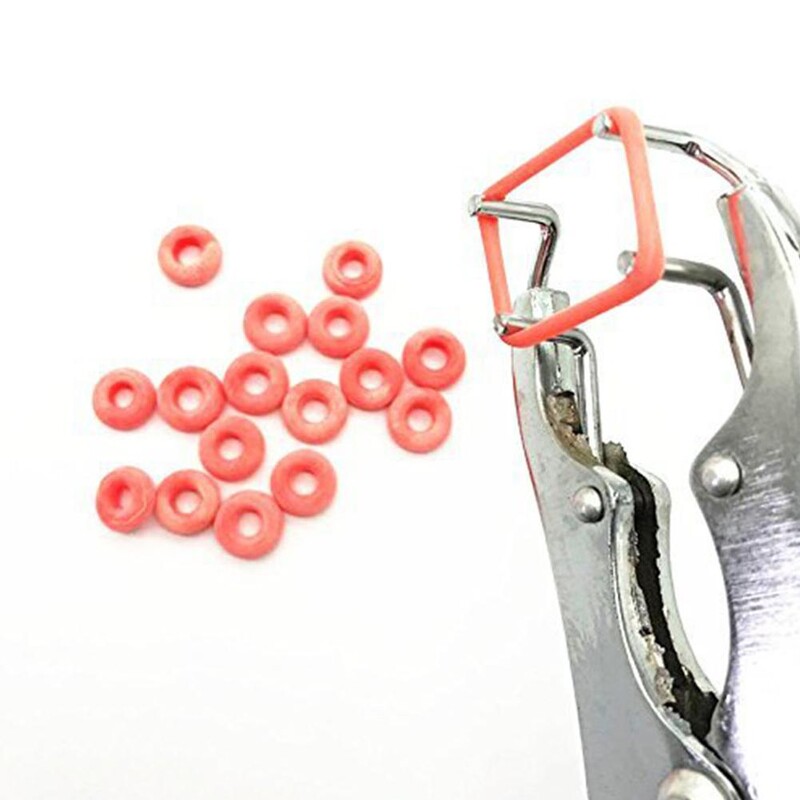 Vastag vödör csirkeetetéshez Rasing etetővödör hálós csirkeetető vödörrel 1,5 kg