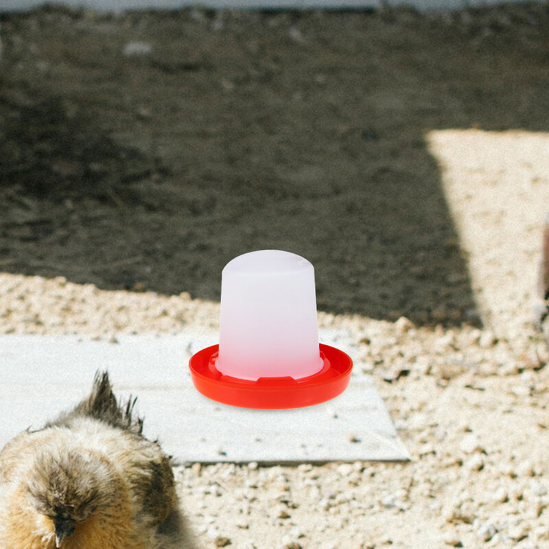 Csirke ivóvödör Vízetető Waterer Coop Tartozékok Baromfi automata fürj itató tartóhoz Kellékek bögre