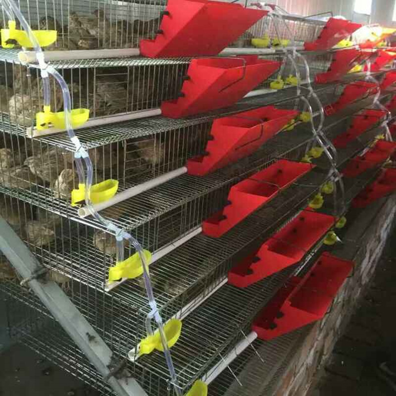 5 kompleta zdjelica za pojilicu za ptice, prepelice, čaše za piće, automatske pojilice za prepelice za 10 mm cijevi, fontane za piće za papige za ptice