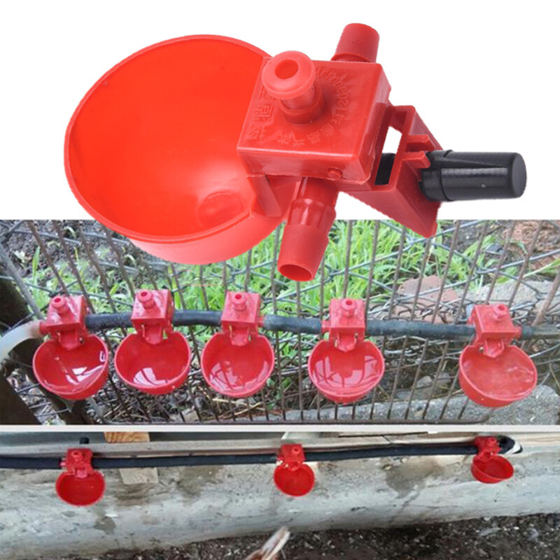 5 komada pojilica za piliće, čaše za pojilo za piliće, crvene prepelice, zdjela za pojilo za piliće, automatska hranilica za peradnjak, čaše za pojenje vode