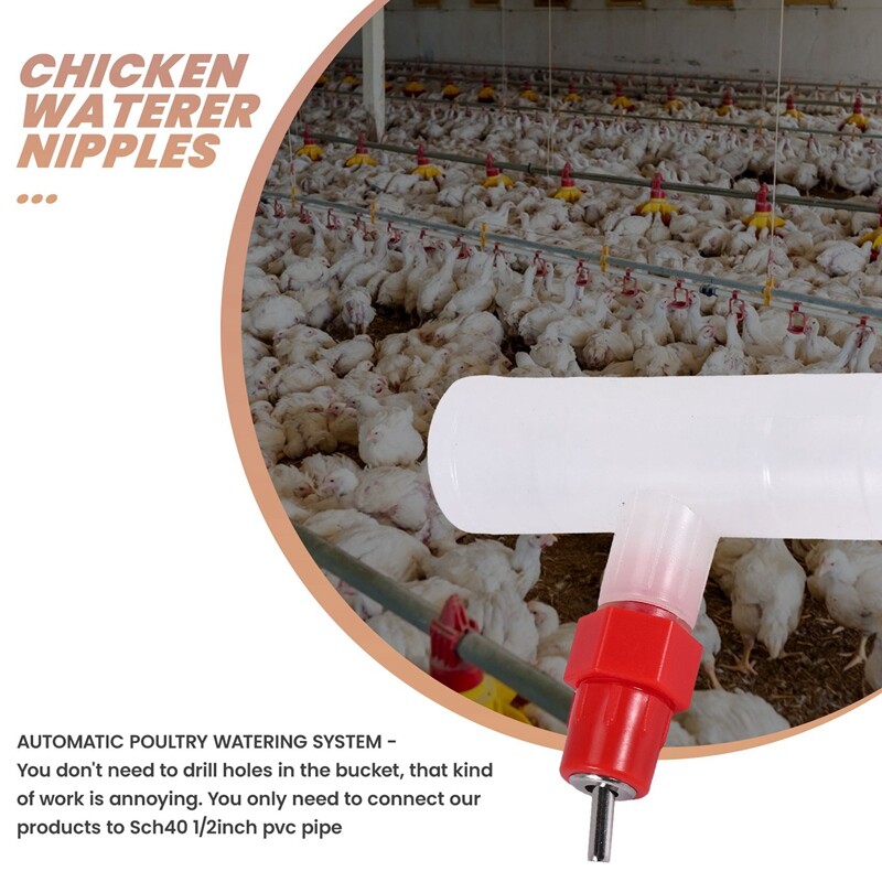 Chicken Nipples Tee Fittings - Teljesen automatikus baromfiitató készlet Chicken Water Drinker 10 csomag