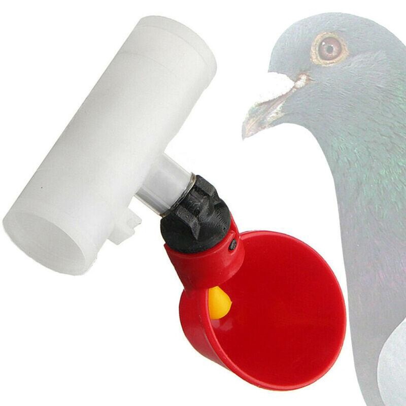 5/10 buc. Hrănitor automat pentru pui de păsări cești de băut cu apă, găini, păsări, prepelițe, hrănitor pentru porumbei, adăpători pentru mamelon, instrument de reproducere pentru hrănire