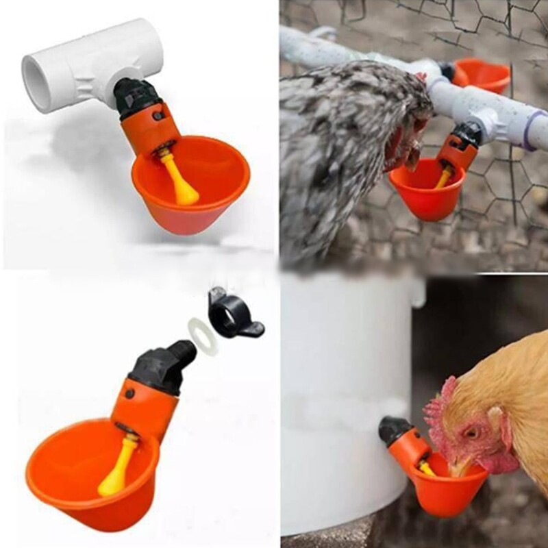 5/10 buc. Hrănitor automat pentru pui de păsări cești de băut cu apă, găini, păsări, prepelițe, hrănitor pentru porumbei, adăpători pentru mamelon, instrument de reproducere pentru hrănire