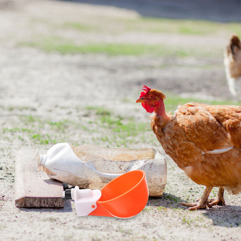 6 gab Ūdens dozators Vistas dzirdinātāji Dzērienu krūzes Bļodas Krūzes Strūklaka 980X630X630CM Laistīšanas apelsīnu barotājs balodis