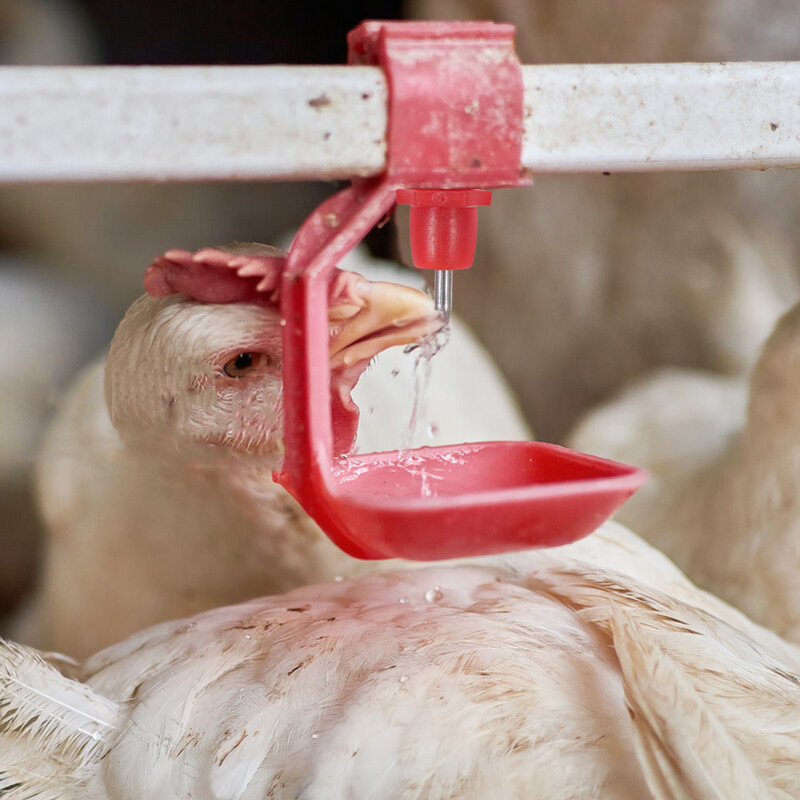 20 buc Fântână de băut Adăpator de păsări de curte Hrănitor de pui Adăpător automat de bol de prepeliță