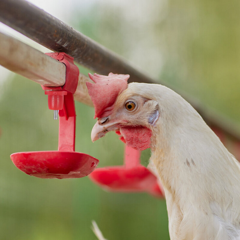 20 buc Fântână de băut Adăpator de păsări de curte Hrănitor de pui Adăpător automat de bol de prepeliță