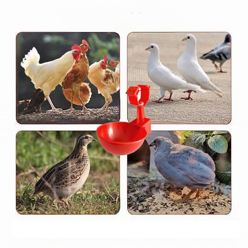 10kom čašica za pojilicu za piletinu Automatska hranilica za piletinu za perad Plastična pojilica za perad Hranilica za vodu za piliće za patke