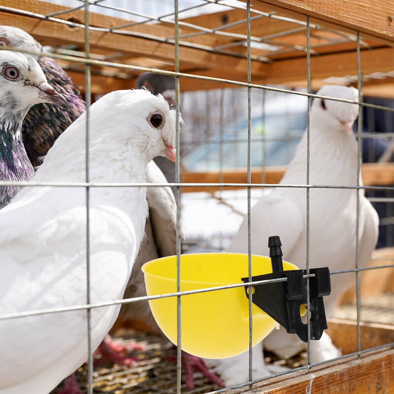 10 db ivókút praktikus vizestál galamb automata adagoló csirke poharak Papagáj adagoló tartó műanyag csibék