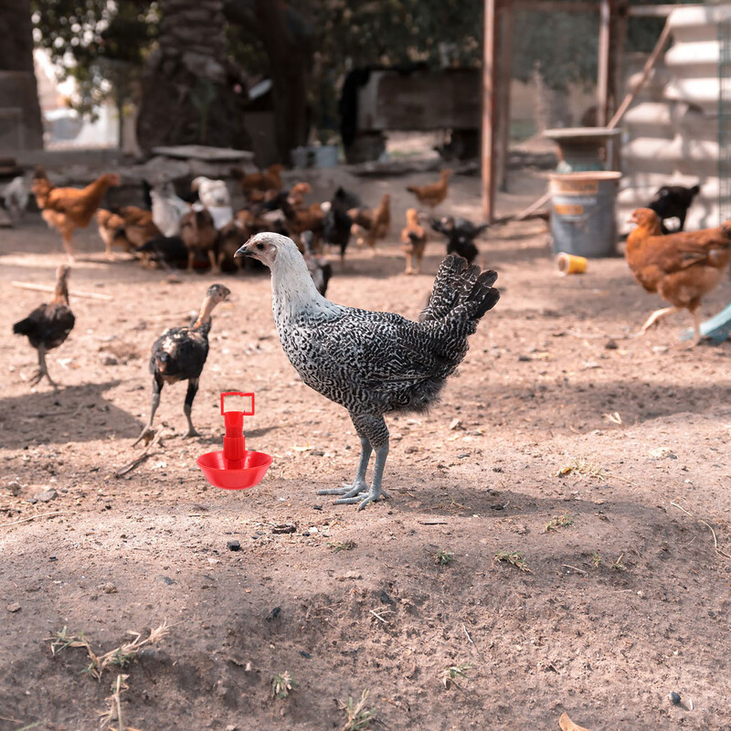 10 kom. Pojilica za piliće, čaša za piće, sustav za navodnjavanje, zdjela za papige, hranilica za patke, automatska pojilica za ptice, čaše za hranu