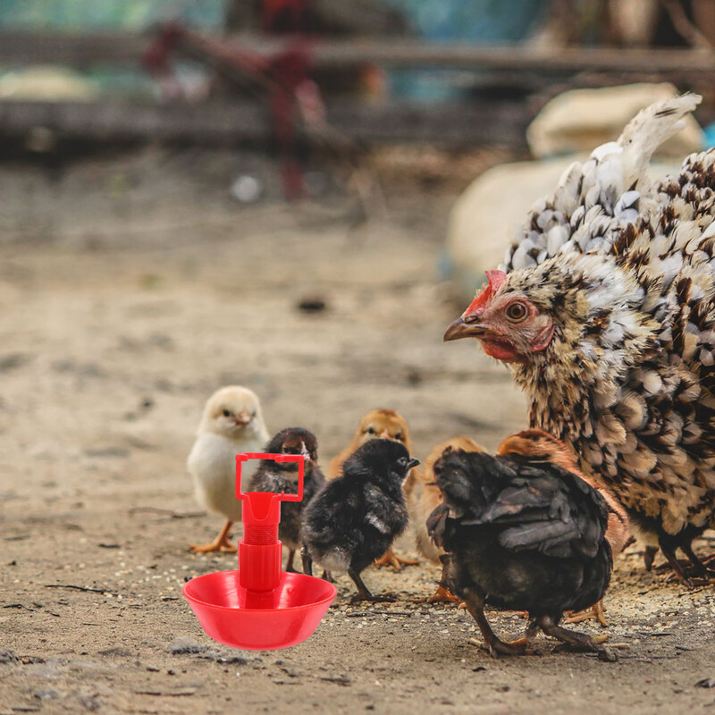 10 kom. Pojilica za piliće, čaša za piće, sustav za navodnjavanje, zdjela za papige, hranilica za patke, automatska pojilica za ptice, čaše za hranu
