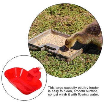 5 τμχ Automatic Drinking Fountain Chick Feeder and Waterer Kit Chicken Feeders Drinkers Watering System Dispenser Pipes Pp Cup