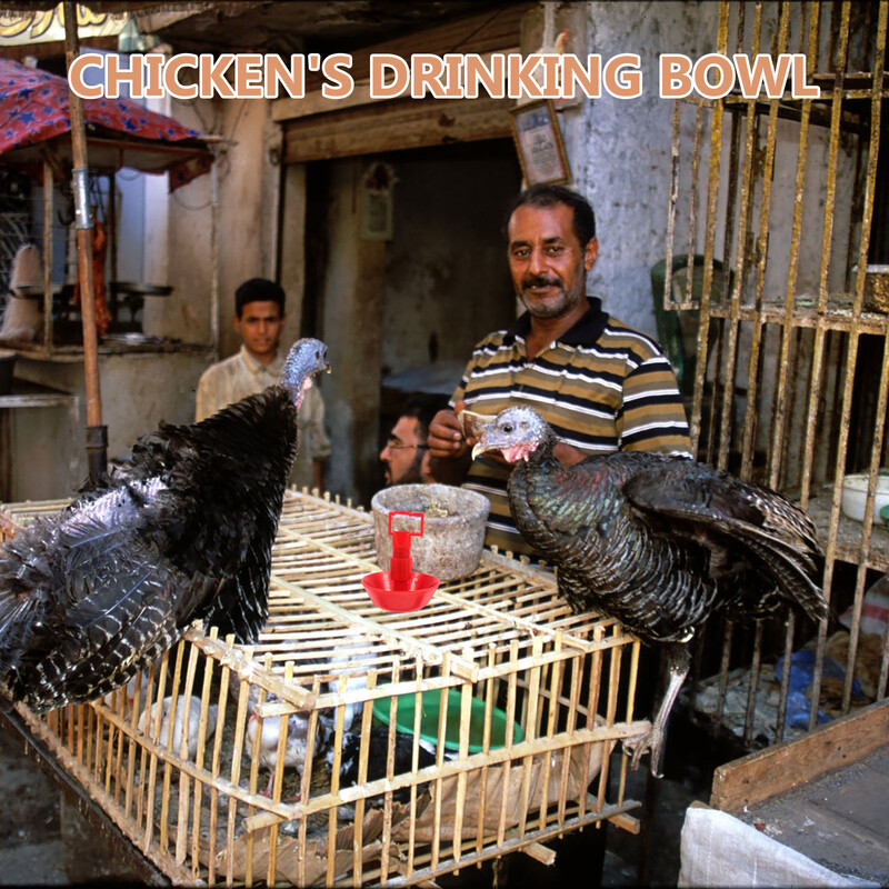 10 gab. Vistas dzirdinātāja laistīšanas sistēma ganību pīļu krūzes Trušu mājputnu barības barotavas automātiskā putnu dzērāja vēdera paipalas