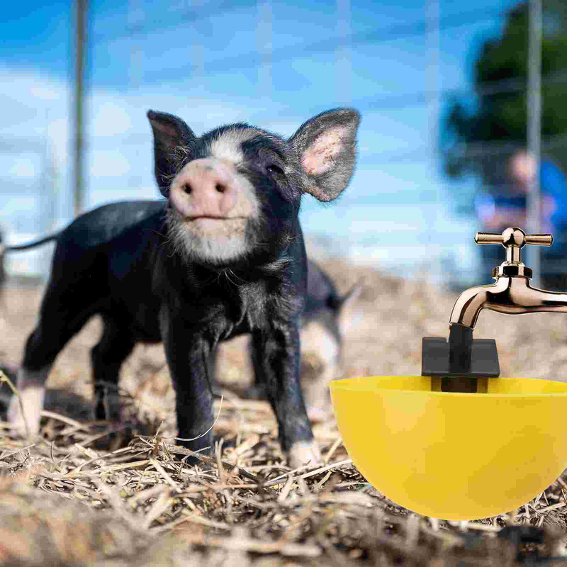 15 buc. Sticle de apă pentru iepure Fântână de băut pentru porumbei Hrănitor automat de adăpătorire 900X900X500CM Bol galbenă păsări de curte