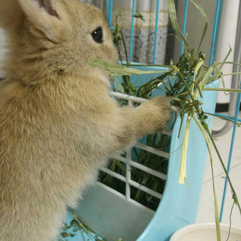 Coș de mâncare pentru iepuri Suport pentru iarbă Cadru pentru iarbă pentru iepuri Hrănitor pentru fân Cadru pentru iarbă pentru primăvară pentru iepuri Suport cu bol pentru fân Container pentru hrană pentru animale de companie