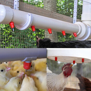 20 τμχ Chicken Waterer Nipple Drinkers, Quail Pigeon Bird Automatic Water Dispenser, Poultry Farming Screw Style Feeding Water