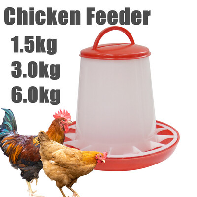 Chicken Feeder 1,5/3/6kg Ποιότητα Chicken Automatic Feeder Quail Pigeon Feeder Κάδος τροφοδοσίας κοτόπουλου Εργαλείο διατροφής ζώων