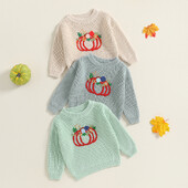 FOCUSNORM 0-3G Jauki zīdaiņi, meitenes, Helovīna džemperis ar garām piedurknēm, ziedu ķirbju izšuvumi, ziemas silti, trikotāžas puloveri