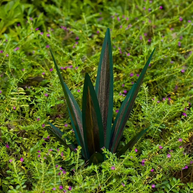 Fém agave mesterséges tequila táj szobor barkácsolás fém agave növény otthoni dekoráció rusztikus kézzel festett
