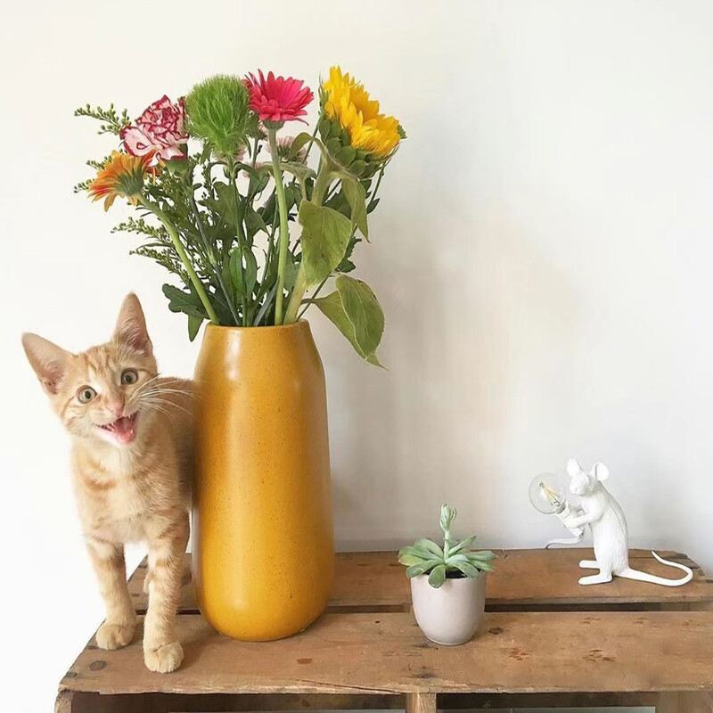 Nordic Home Camera USB Mouse Lampă LED Noapte Lampă de Noptieră Noptieră Noptieră Decor pentru cameră Iluminat Lampă de birou Lampă de masă Pendant