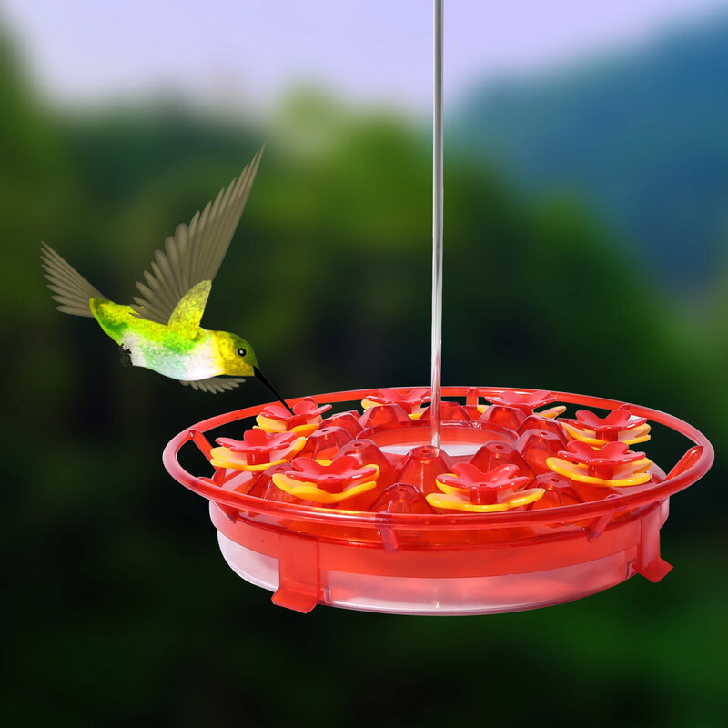 Pārrobežu karstā pārdošana 2024. gada jauna ziedu kolibri barotava karājas putnu āra dārza Amazon putnu barotava