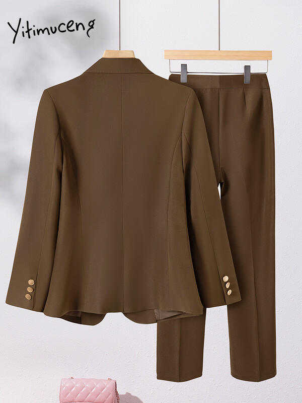 Yitimuceng Costume pentru dama de birou pentru femei, toamna iarna 2023, nou set de 2 piese, cu un singur buton, subțire, cu mânecă lungă și pantaloni