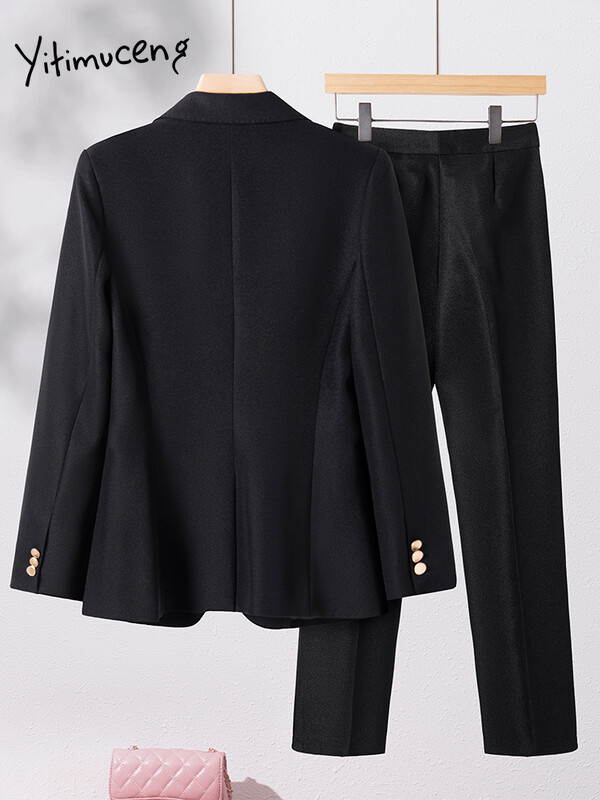 Yitimuceng Costume pentru dama de birou pentru femei, toamna iarna 2023, nou set de 2 piese, cu un singur buton, subțire, cu mânecă lungă și pantaloni