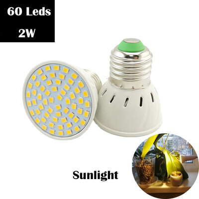 220 V LED lambi pirn kasvuvalgusti E27 kasvuhoone hüdropooniline LED kasvulamp siseruumides kasvuhoone Lill roheline taim