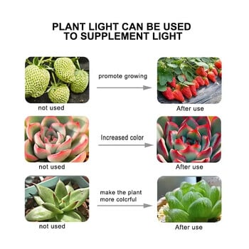 220V E27 60LEDs Plant Grow Light Phyto Lamps Led Full Spectrum Growing Bulb for Greenhouse Hydroponics Growth Fitolampy