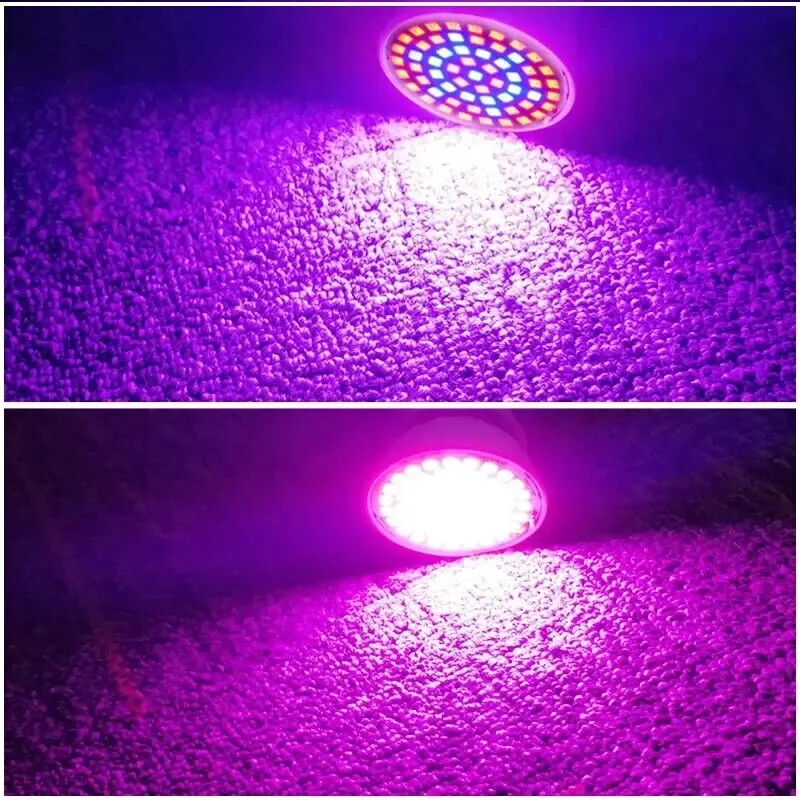 220V E27 60LED augalų auginimo šviesa fito lempos LED viso spektro auginimo lemputė šiltnamio efektą sukeliančių hidroponikos augimui fitolampy