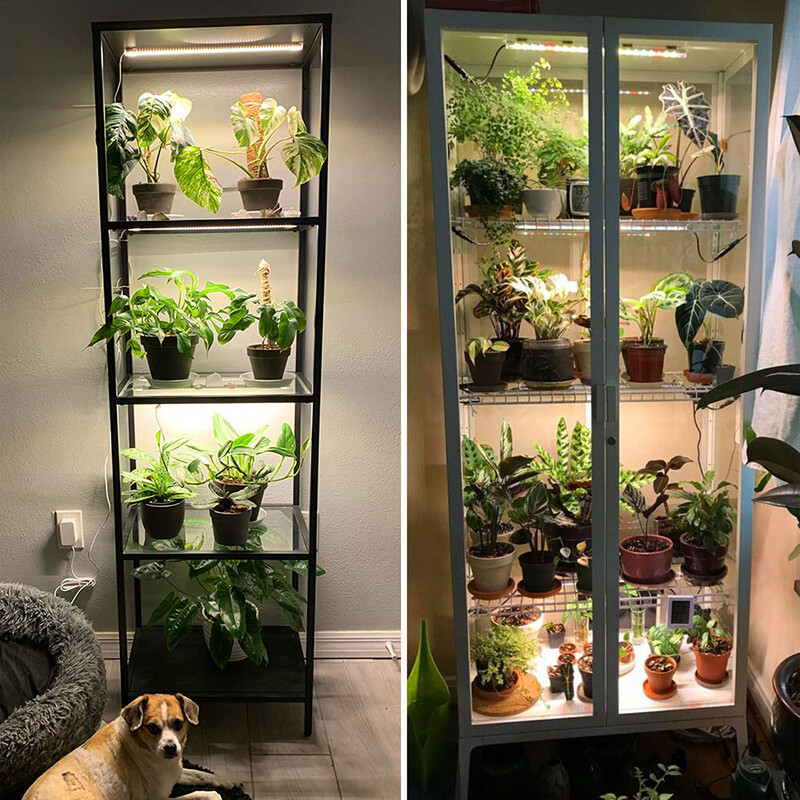 1/2/3/4 LED auginimo šviesos juostelės kambariniams augalams USB viso spektro fito lempa Pritemdoma laikmačio sodinukų daržovėms gėlių auginimo lempa