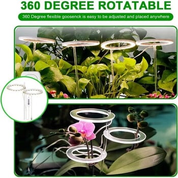 1/2/3/4 Heads Angel Ring Full Spectrum LED Grow Light with 20-80 LEDs 5 Dimmable Levels Plant Light for Indoor Plant