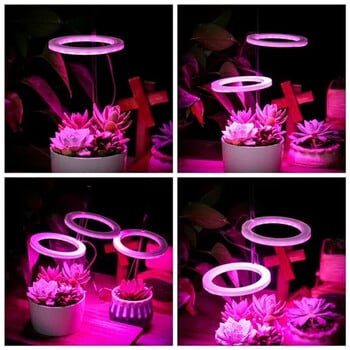 1/2/3/4 Heads Angel Ring Full Spectrum LED Grow Light with 20-80 LEDs 5 Dimmable Levels Plant Light for Indoor Plant