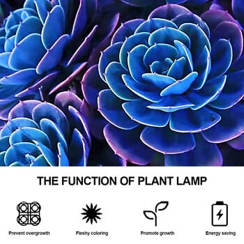 USB LED Grow Light 14LEDs Red 7LEDs Blue Full Spectrum Plant Grow Lamp Growth Desktop for Desktop Growth Lights for Indoor Greenhouse Plants Seed