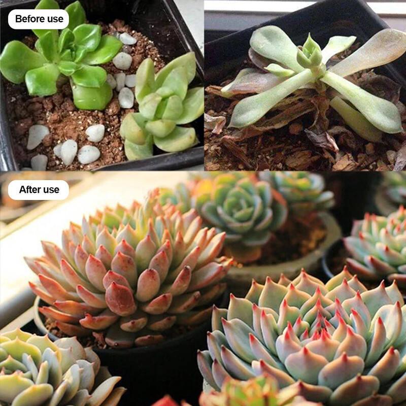 USB LED auginimo lemputė 14 šviesos diodų raudona 7 šviesos diodų mėlyna viso spektro augalų auginimo lempa staliniams kompiuteriams auginimo lemputės, skirtos kambarinių šiltnamių augalų sėkloms