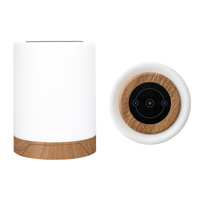 Smart LED nakts gaisma, pārnēsājama skārienvadības galda lampa, USB uzlādējama RGB ģērbtuves dekors bērnu guļamistabu kempingam
