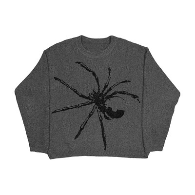 Mezginiai Vyriški Moteriški megztiniai Harajuku Mados Vyriški Rudens Žiemos Laisvi Kasdieniai Gatvės Apranga Megztiniai Megztiniai Vintažiniai drabužiai