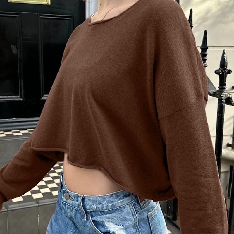 HEYounGIRL Ikdienas brīvs džemperis Sieviešu ielas apģērbs Vintage brūns ar garām piedurknēm Crop Top Fashion Y2K rudens trikotāžas puloveri Basic