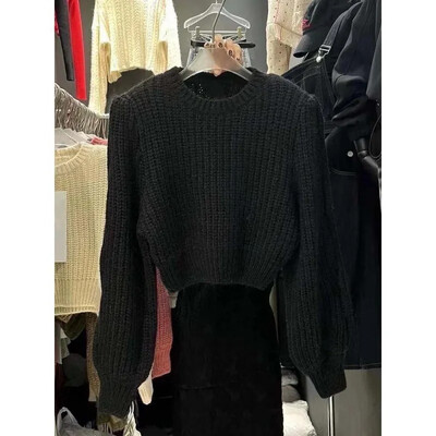 Korejiešu stila Ins Autumn New Niche Universāls sieviešu džemperis ar apaļu kakla izgriezumu, viduklim piegulošs sīks apgriezts trikotāžas tops