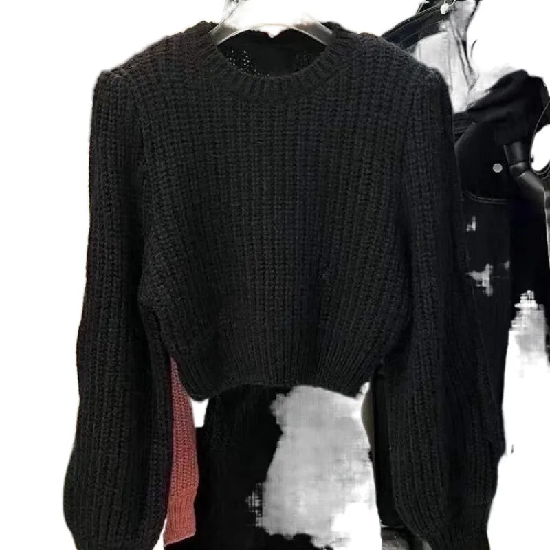 Korejiešu stila Ins Autumn New Niche Universāls sieviešu džemperis ar apaļu kakla izgriezumu, viduklim piegulošs sīks apgriezts trikotāžas tops