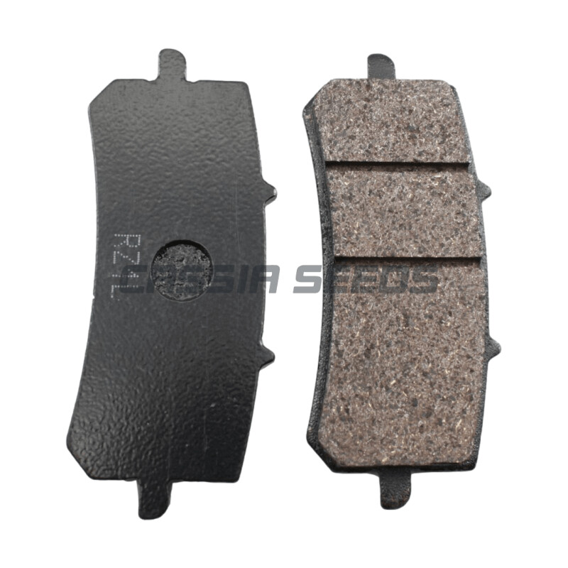 Plăcuțe de frână față și spate pentru motocicleta CFMOTO Chunfeng CF250NK high 250SR Xihu ABS versiunea națională patru