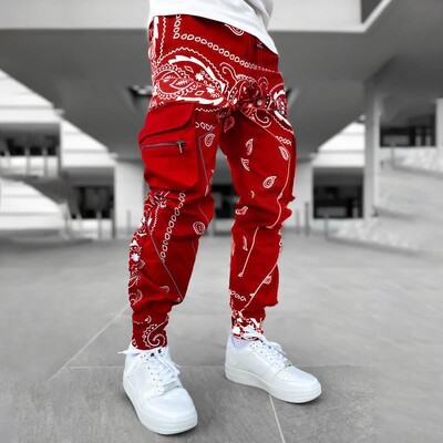 2024, primăvară și toamnă, noi pantaloni casual imprimați, pantaloni Harun, bărbați, europeni și americani, largi, cu genți multiple, rochie de lucru P
