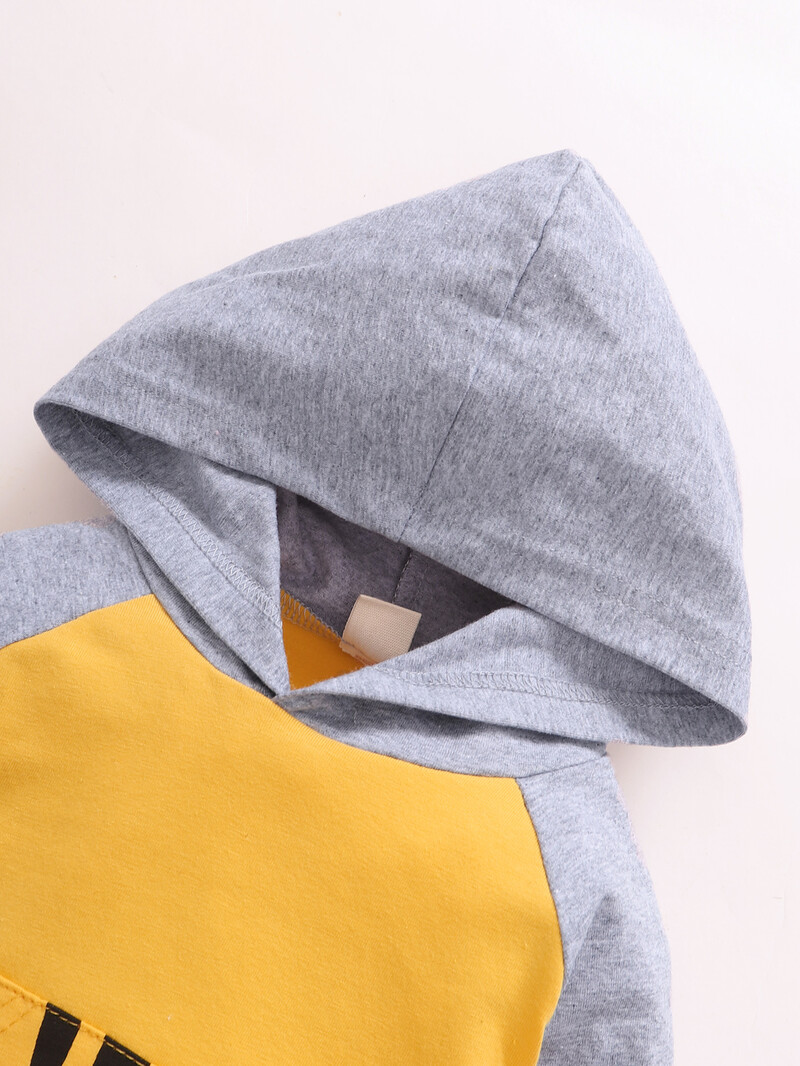 3-24 luni Set de haine pentru bebeluși și fete pentru copii mici, tigru din desene animate, hanorac cu mânecă lungă, cămașă + pantaloni, toamnă iarnă, costum 2 buc.