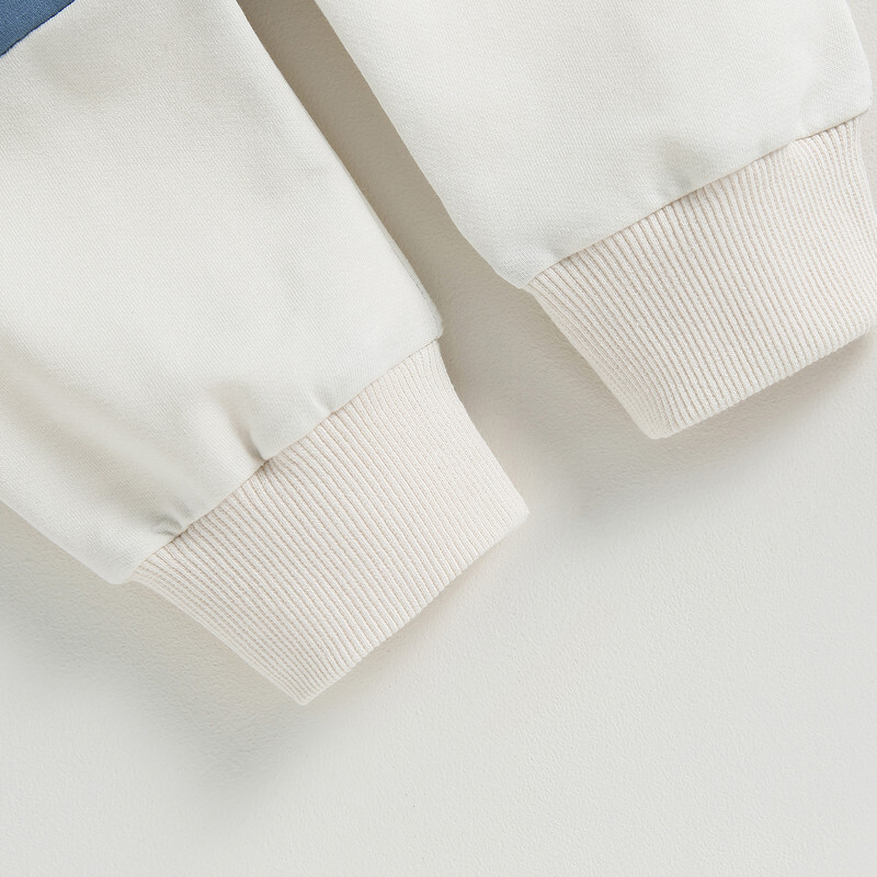 RUEWEY Baby Boy Kompleti hlača u kontrastnoj boji Proljetna jesen Odjeća Dukserica dugih rukava Gornji i donji dijelovi Kompleti dječje odjeće