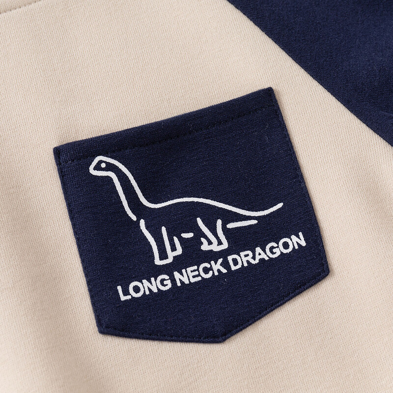 Novi proljetni jesenski dječji komplet odjeće za dječake Pamučne majice s otisnutim crtanim dinosuarima + jogger hlače Trenirke Patchwork Dječja odjeća