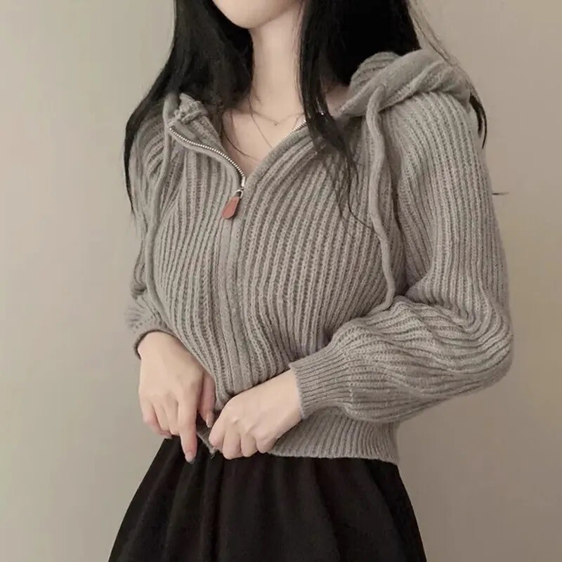 Γυναικείο πουλόβερ με μακρυμάνικο κορεάτικο στυλ casual εξωτερικά ενδύματα Γυναικεία μόδα κομψή ζακέτα με φερμουάρ επάνω Γυναικείο πουλόβερ με κουκούλα