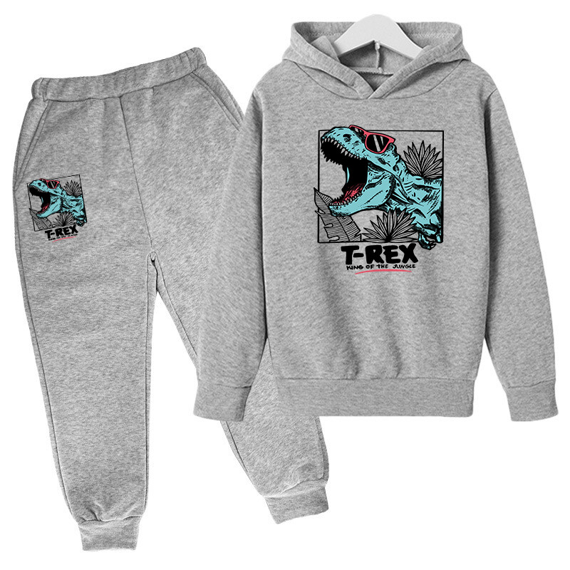 Imbracaminte de top cu imprimare de dinozauri pentru copii de la 1 la 12 ani baieti set copii pentru fete baieti hanorace copii imbracaminte acasa