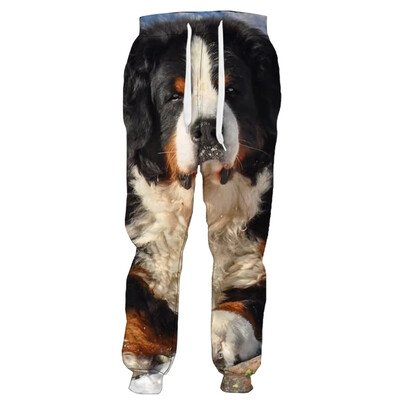 Ανδρικά φαρδιά παντελόνια Μόδα Χαβάης Ζωγραφική ζωγραφική με γάτα 3d Y2k Harajuku εμπριμέ casual vintage αθλητικά ρούχα Κοινωνικά ρούχα